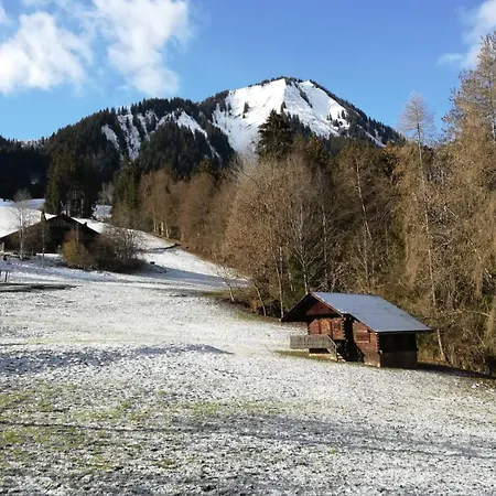 Chalet Familial Spacieux Et Chaleureux